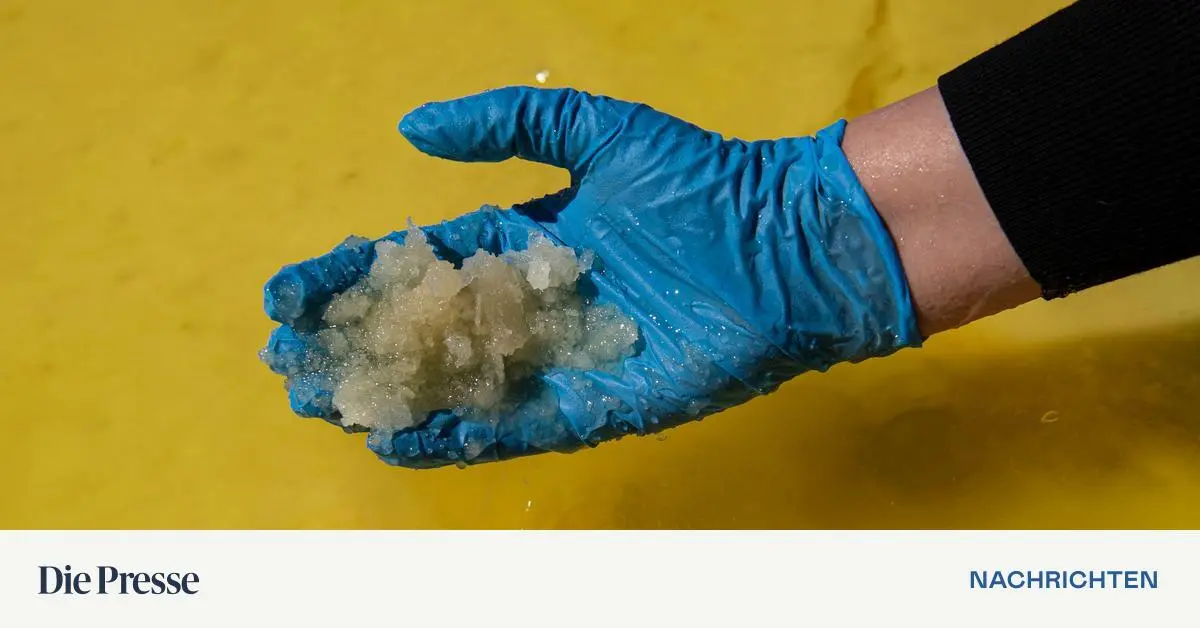 Ukraine-vergibt-Abbaurechte-f-r-Lithium-an-US-nahe-Investoren