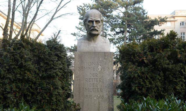 Büste von Ignaz Semmelweis