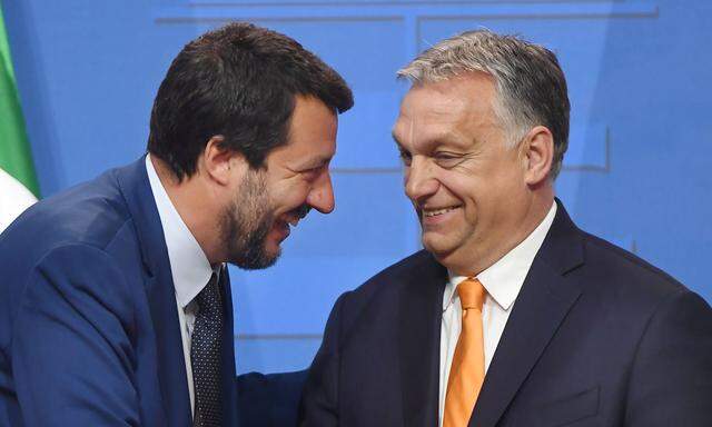 Matteo Salvini und Viktor Orbán.