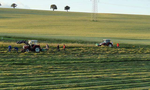 Forschung am Feld: Hier untersuchen Wissenschaftler, wie gut der elektrisch angetriebene Mähaufbereiter Gras trocknet.