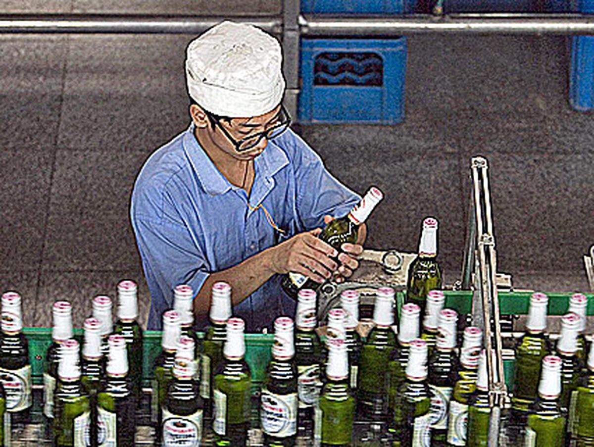 Die nationale Brauerei der Volksrepublik China kommt auf einen Marktanteil von 2,3 Prozent und produzierte 2007  41,1 Millionen Hektoliter. Die 1980 gegründete Brauerei ist einer der Hauptsponsoren der olympischen Spiele 2008. Eine 0,66 Liter Flasche kostet rund 40 Eurocent.