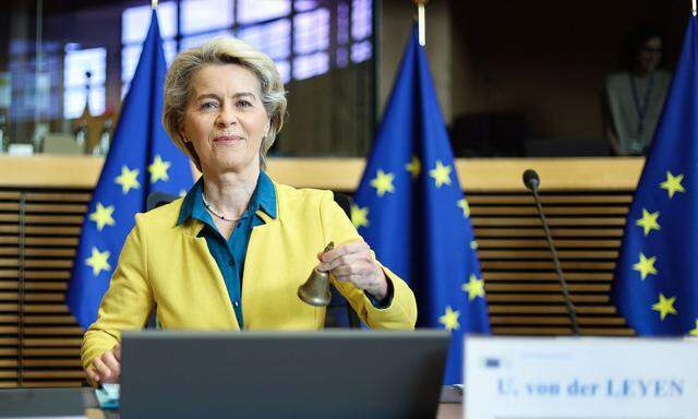 Kommissionschefin Ursula von der Leyen empfiehlt den Kandidatenstatus für die Ukraine. Doch sind dort viele Reformen nötig.