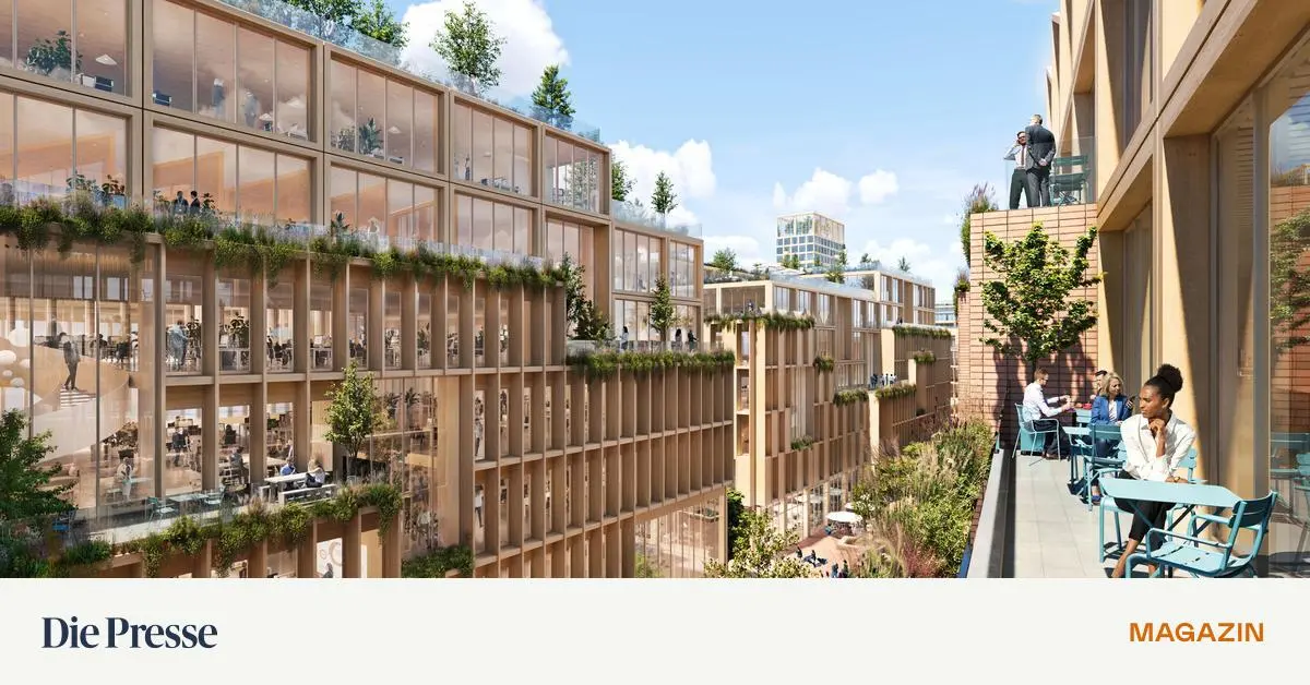 Ein-ganzer-Stadtteil-aus-Holz-Auch-f-r-Wien-eine-Option-premium-