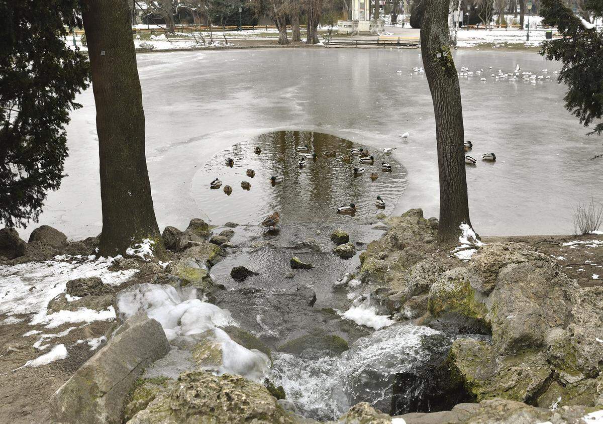Ein gefrorener Teich im Wiener Stadtpark, aufgenommen am Montag.