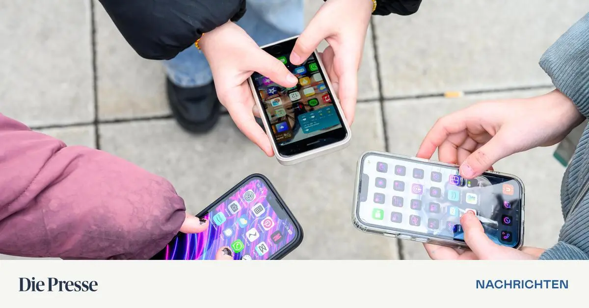 Kritik-an-Qualit-t-der-offiziellen-Schul-Lernapps