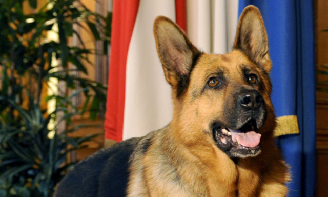 EUHaftbefehl gegen Kommissar