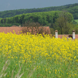 Beliebt ist die Region bei Familien und Best Agern.