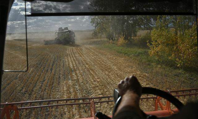 Getreideernte in Russland. Die Landwirtschaft hat von der Konfrontation mit dem Westen profitiert. Der Rest nicht.