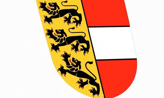 Scheinrechnungen FPKWahlhelfer Land bezahlt