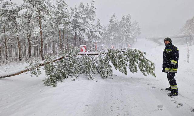 Feuerwehrkräfte auf der A21 in Niederösterreich, die Autobahn musste nach starken Schneefällen komplett gesperrt werden. 