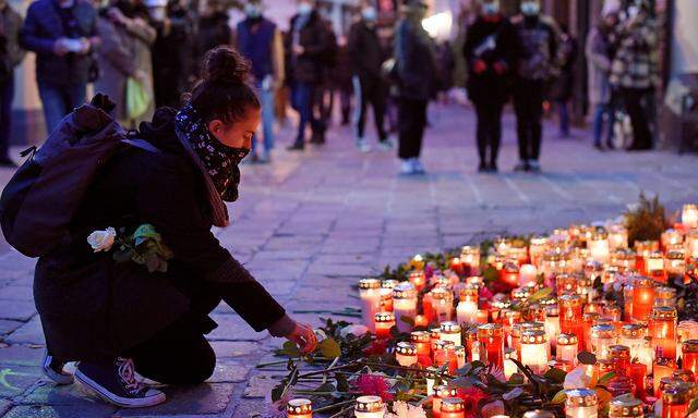 Die Zerbes-Komission sollte die Vorgänge im Vorfeld des Terroranschlages von Wien klären.