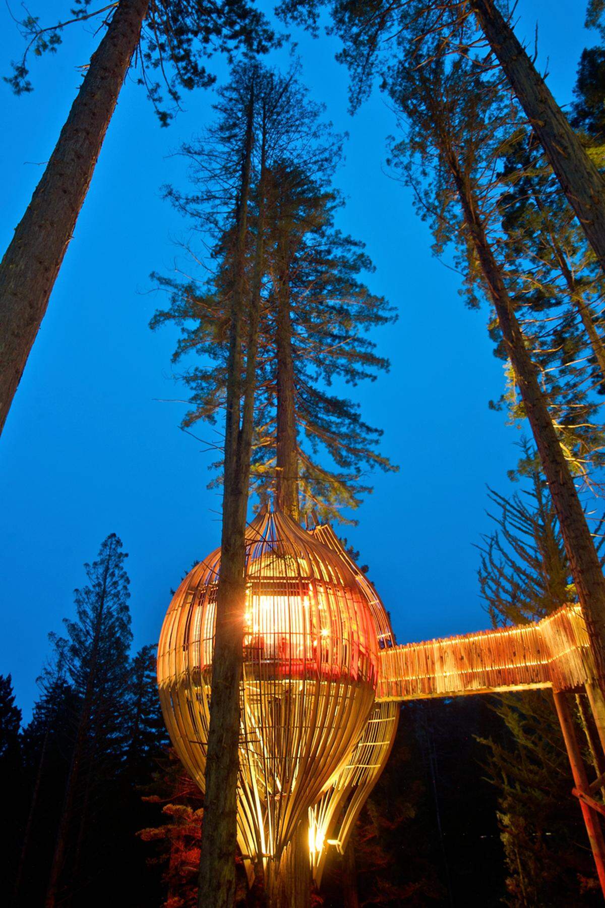 Ursprünglich wurde das Redwood Treehouse 2008 im Zuge einer Marketingkampagne für Yellow errichtet, ehe es nach Abschluss der Kampagne dem Grundbesitzer und danach dem Unternehmen "The Experience Group" übergeben wurde.