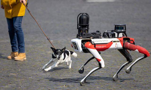 Ein Roboter des Sicherheitsdienstleisters Ciborius mit hundeähnlichen Bewegungen, künstlicher Intelligenz und 360-Grad-Kamera.