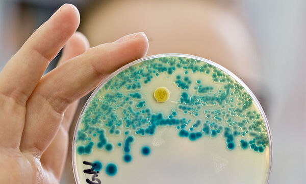 Multiresistente Keime