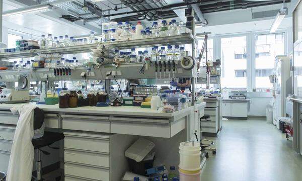 Im IMP gibt es für die 15 Forschungsgruppen vier große Labors und viele kleine Speziallabors.