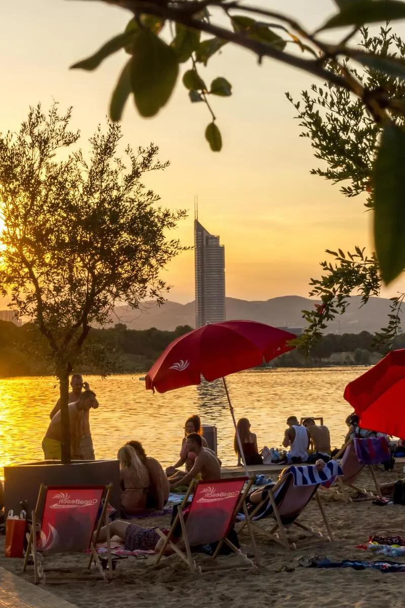 Wien war einst ein Paradies mit Palmenstrand  DiePresse.com