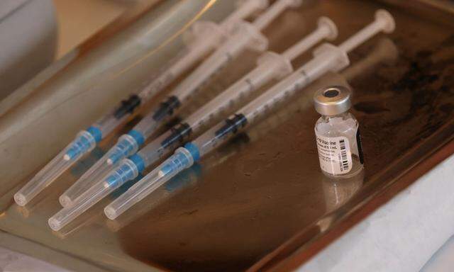 Bald wird es genügend Impfungen für alle geben, sagen Kanzler und Gesundheitsminister.