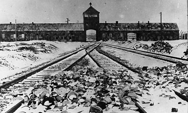 KZ Auschwitz, Einfahrt