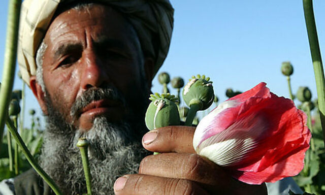 Opium in Afghanistan
