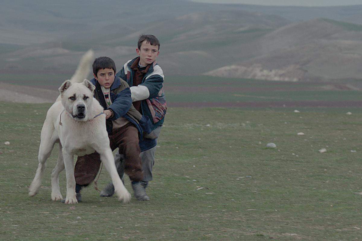 Den Spezialpreis der Jury gewann der Film "Sivas" von Kaan Müjdeci (Türkei, Deutschland).Der Inhalt des Films: Der elfjährige Aslan wächst in einem osttürkischen Dorf auf. Sein Leben verändert sich, als er einen verwundeten Hund vor dem sicheren Tod rettet und zu sich nimmt. Die Freundschaft, die dabei entsteht, lässt ihn selbstbewusster werden.