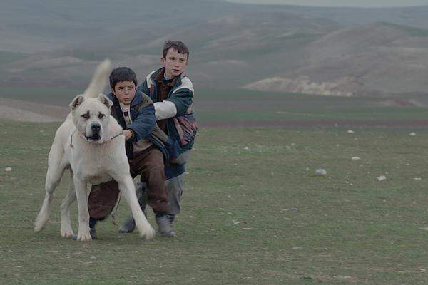 Den Spezialpreis der Jury gewann der Film "Sivas" von Kaan Müjdeci (Türkei, Deutschland).Der Inhalt des Films: Der elfjährige Aslan wächst in einem osttürkischen Dorf auf. Sein Leben verändert sich, als er einen verwundeten Hund vor dem sicheren Tod rettet und zu sich nimmt. Die Freundschaft, die dabei entsteht, lässt ihn selbstbewusster werden.