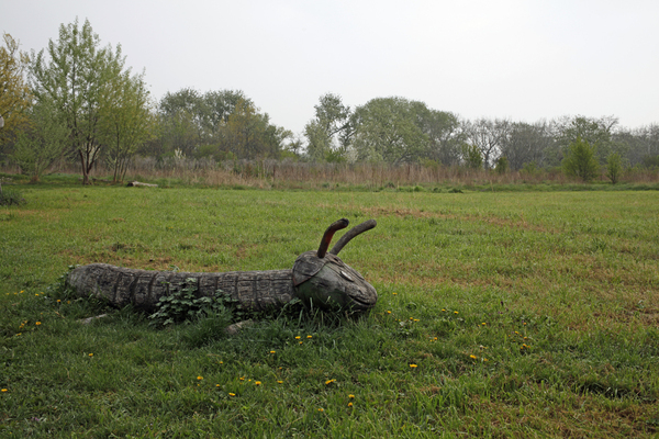 In dieser naturnah gestalteten Wiese wurde der "ideale Lebensraum für Schmetterlinge" geschaffen, verkündet die Stadt auf einer Tafel. Die Falter kommen in einer Zuchtstation neben der Wiese zur Welt und werden dann in den Donaupark "entlassen".