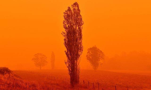 Der Himmel ist rot von den Buschfeuern in Australien.