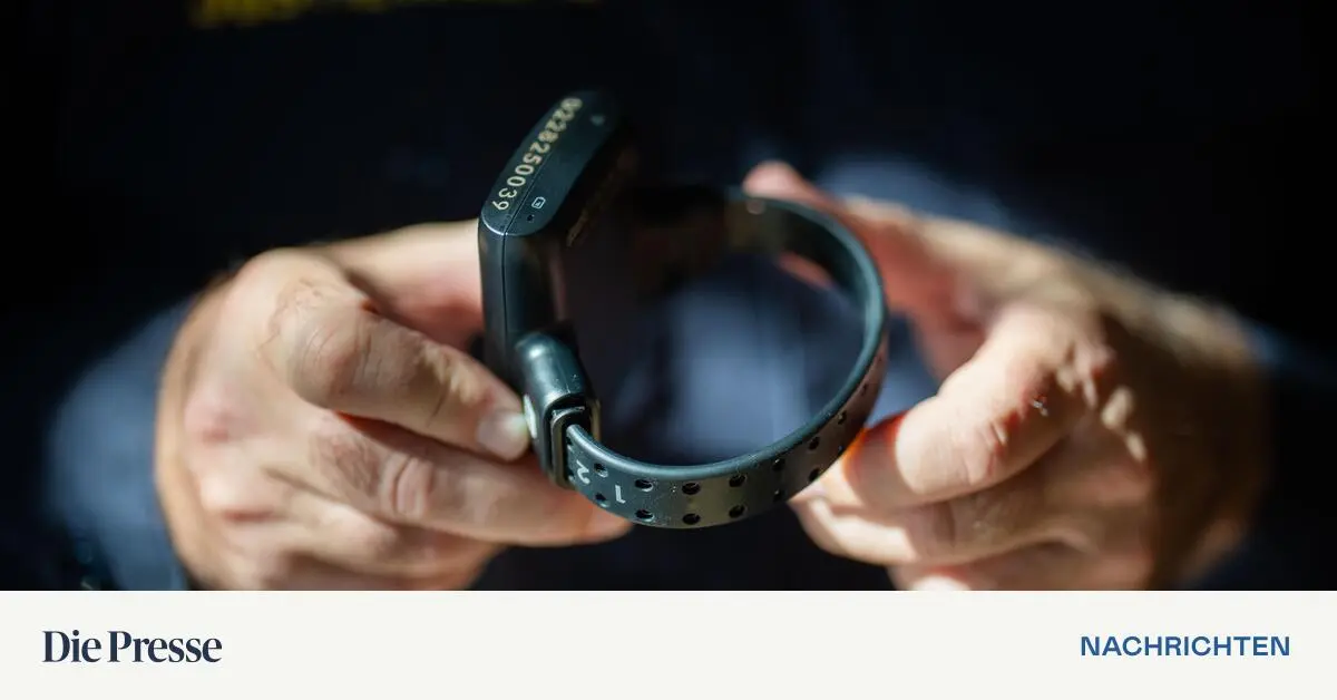 Fu-fessel-in-Linz-abgeschnitten-Fl-chtiger-Verurteilter-in-Hamburg-geschnappt