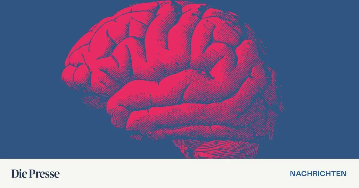 Neurotechnologie als möglicher neuer Superhype: Das sind die weltweit besten Aktien der Branche  Kép