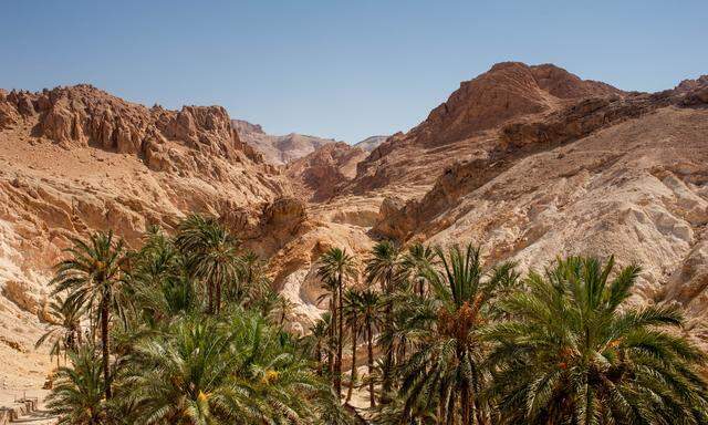 Eine Bergoase in Tunesien: ein Ort mit außergewöhnlichen Reizen.