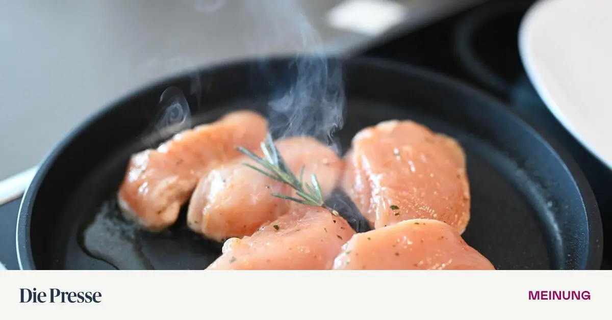 Warum-die-Fleischdebatte-falsch-gef-hrt-wird-premium-