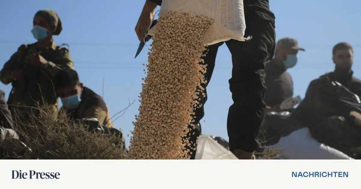 Jemen-wird-zur-neuen-Drehscheibe-f-r-Drogen-im-Nahen-Osten-premium-