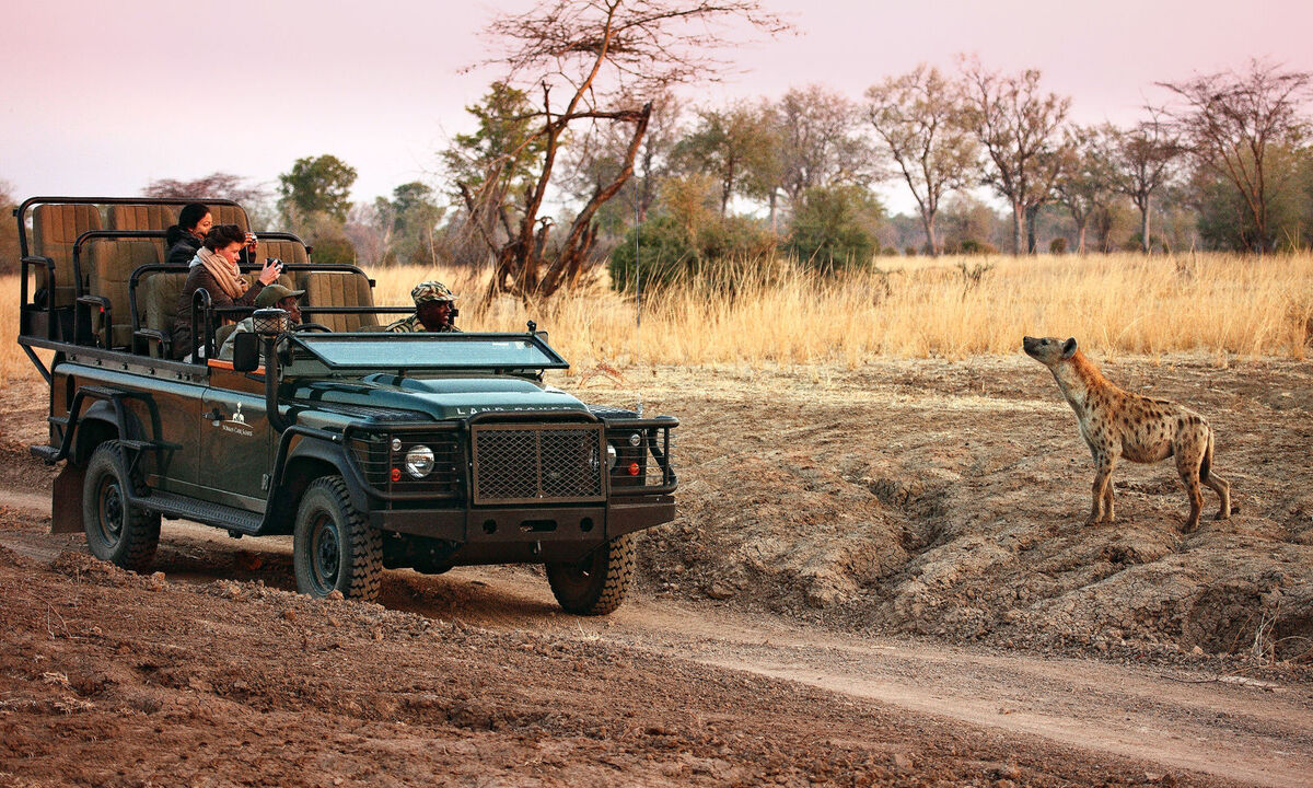 Kontaktfreudig. Hyänen sind  mindestens so neugierig wie  Safarigäste.
