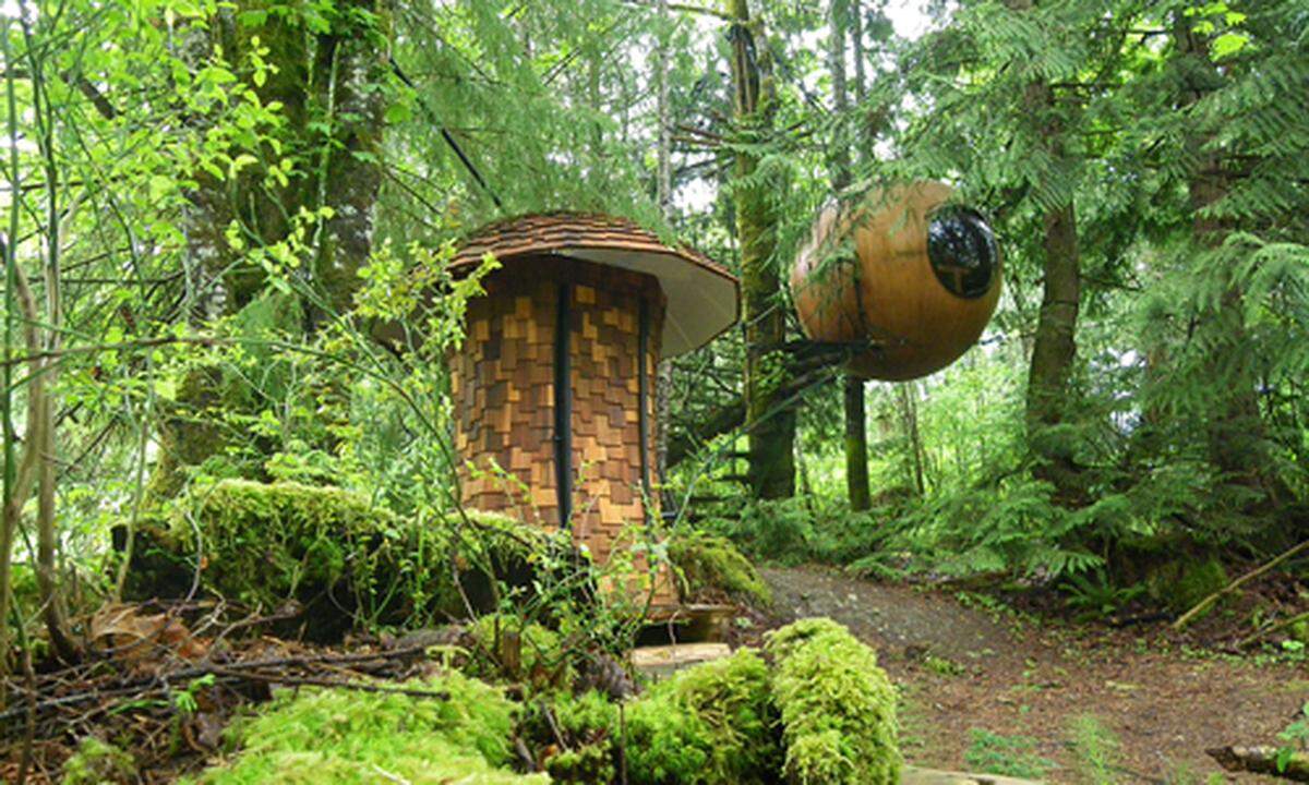 Als Kugeln in Baumkronen tarnt sich das neue Hotel von Tom Chudleigh. Wie überdimensional große Nester mit Bullaugen hängen die "Free Spirit Spheres" im kanadischen Regenwald von Vancouver Island.