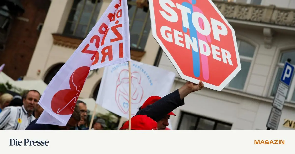 Anti-Gender-Bewegung-Erst-die-Pronomen-dann-die-Demokratie-premium-