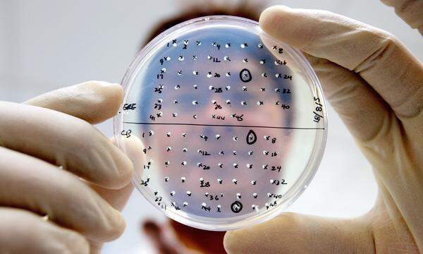 In Kundl sollen in Zukunft auch mRNA-Impfstoffe in einer hochautomatisierten Anlage hergestellt werden.