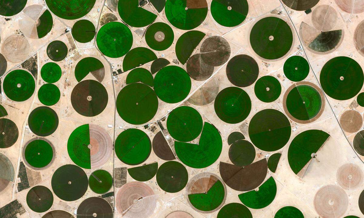 Die Bewässerung mit dem Wasser aus einem fossilen Grundwasserkörper machte die Wüstenregion um die saudi-arabische Stadt Ha‘il zu einem Landwirtschaftsgebiet. Gute Erträge ließen Saudi-Arabien erst zu einem Exportland von Getreide werden, bevor die Fruchtbarkeit der Flächen durch Versalzung zu sinken begann.
