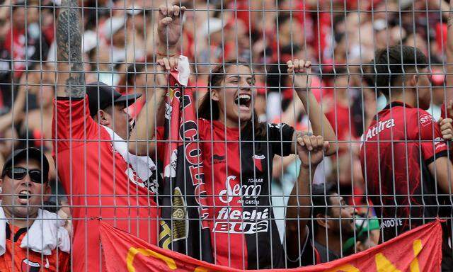 Fan beim Finale der Copa Sudamericana