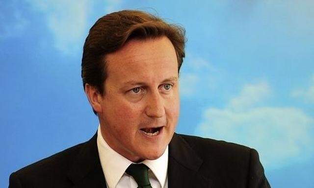 David Cameron, Chef der Konservativen in Großbritannien