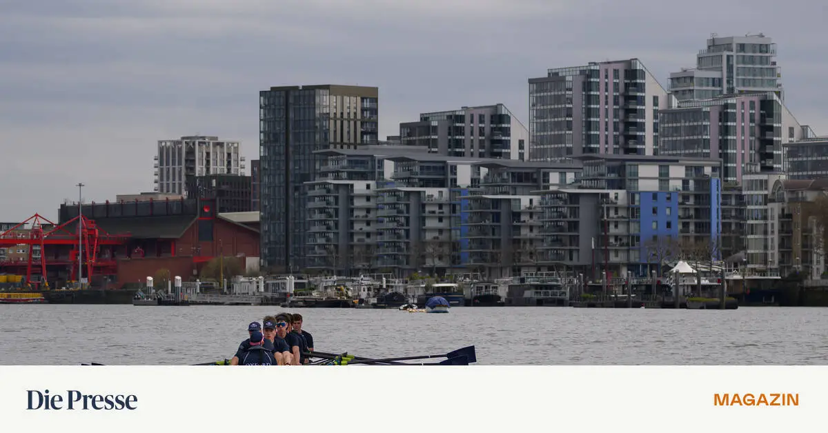 oxford-cambridge-boat-race-ein-sterreicher-stellt-sich-dem-stra-enkampf-im-ruderboot-premium