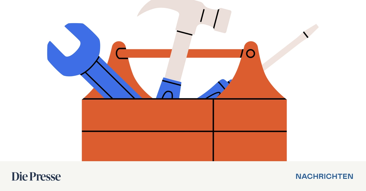 In-sterreich-gibt-es-mehr-Jungunternehmen-als-je-zuvor-premium-