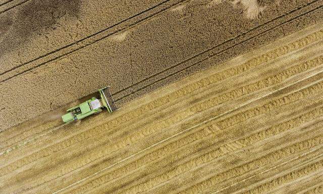DEU Deutschland Laichingen 15 08 2017 Getreideernte auf der Schwaebische Alb Ein Maehdrescher b