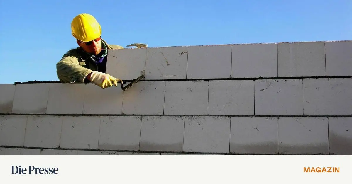 Testprojekt-in-Hallein-Wir-k-nnen-mit-deutlich-weniger-Material-bauen-premium-