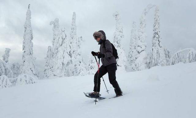 Europa Skandinavien Finnland Lappland Salla Sallatunturie Winter Frau wandert mit Schneeschuh