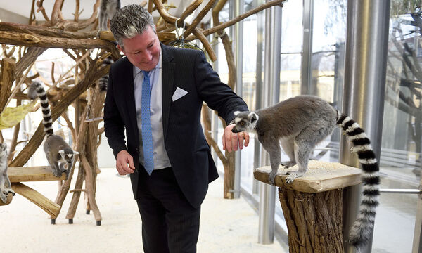 Stephan Hering-Hagenbeck auf einer seiner ersten Runden als Neo-Direktor durch den Zoo. Die Kattas, mit Gemüse fürs Foto gelockt, kennen trotzdem keine Berührungsängsgte.