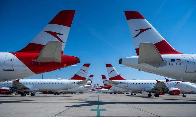 Flugzeuge stehen am Wiener Flughafen derzeit zum Großteil still