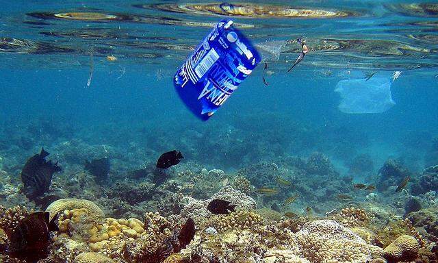 Plastik im Meer ist allgegenwärtig.