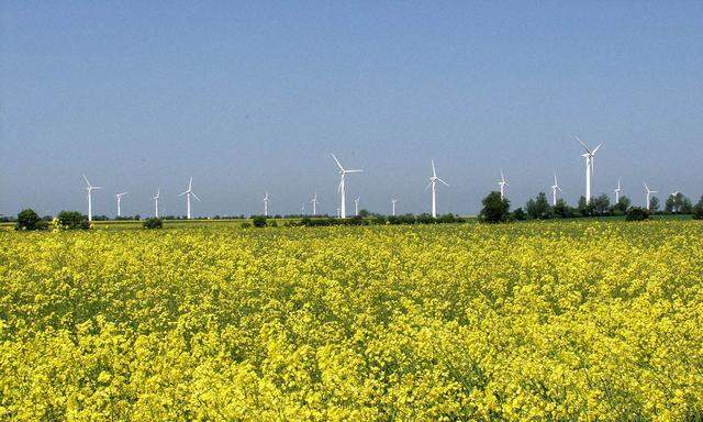 Bis der Strom zu Hause aus der Steckdose kommt, legt er oft eine weite Reise durch europäische Übertragungsnetze zurück. 