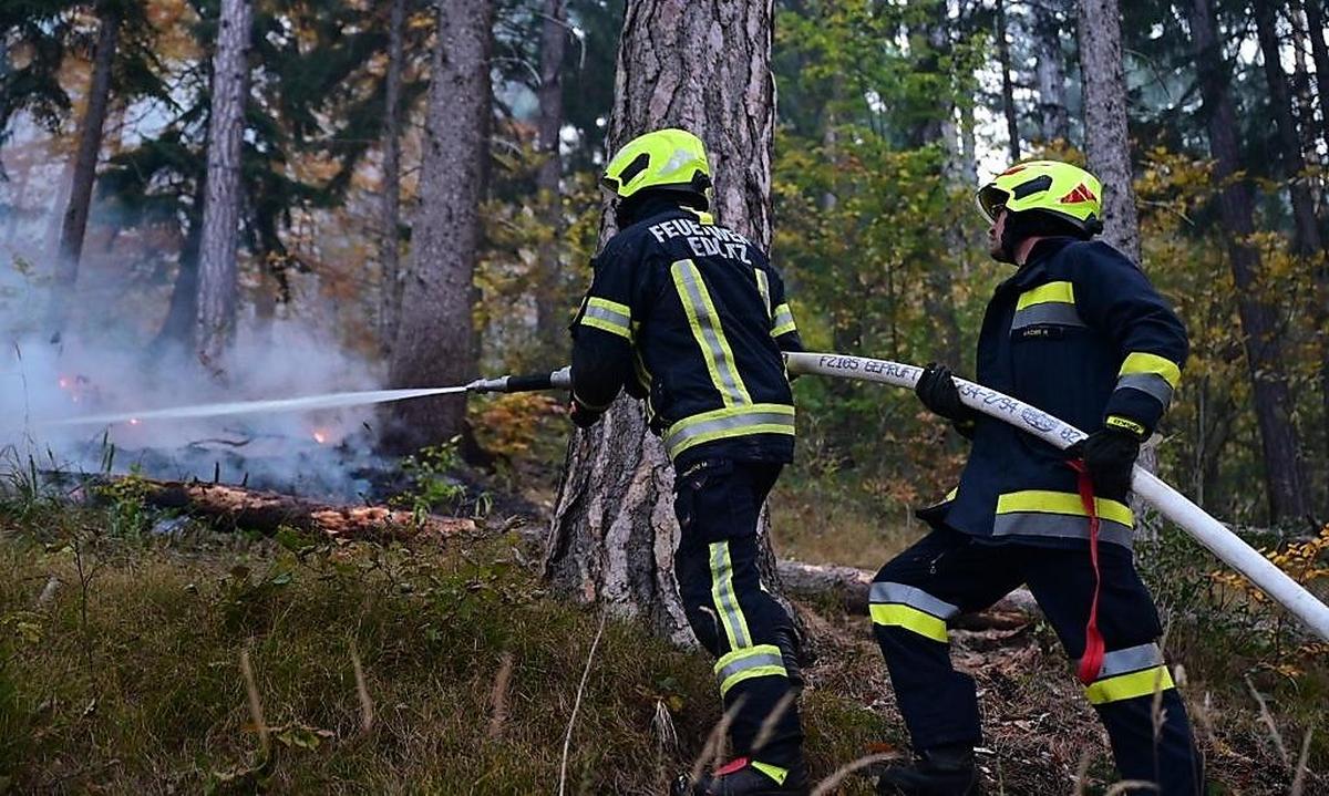 Einsatzkräfte der Feuerwehr bei der Bekämpfung des Waldbrandes in Niederösterreich.