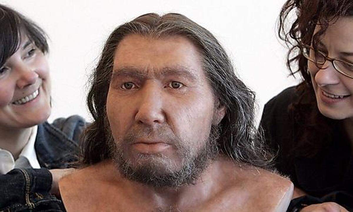 Wuchs das Gehirn der Neandertaler anders? | DiePresse.com
